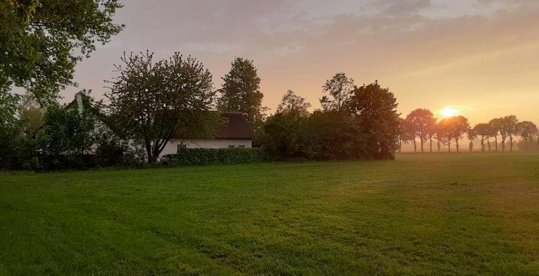Guesthouse Rijsbergen_Zundert מראה חיצוני תמונה