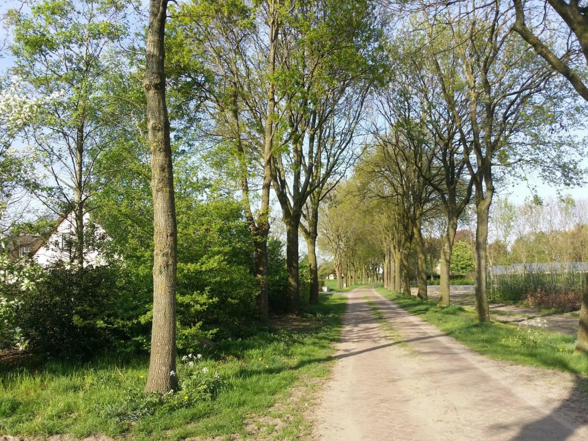 Guesthouse Rijsbergen_Zundert מראה חיצוני תמונה